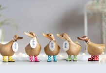 DCUK Wooden Ducks: Our Epic Quest to Find Them in American Malls (Spoiler: We Failed) We need to tell you about our recent adventure, which can only be described as "a complete and utter failure to locate DCUK wooden ducks anywhere in physical retail America."