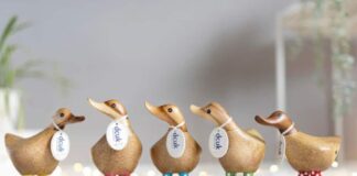 DCUK Wooden Ducks: Our Epic Quest to Find Them in American Malls (Spoiler: We Failed) We need to tell you about our recent adventure, which can only be described as "a complete and utter failure to locate DCUK wooden ducks anywhere in physical retail America."