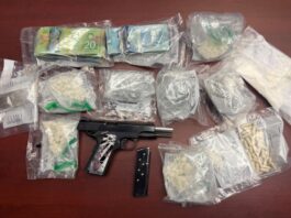 Three people face fentanyl, cocaine and firearms charges after a drug probe in Longlac Image: OPP