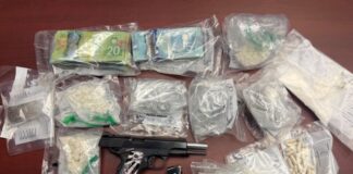 Three people face fentanyl, cocaine and firearms charges after a drug probe in Longlac Image: OPP
