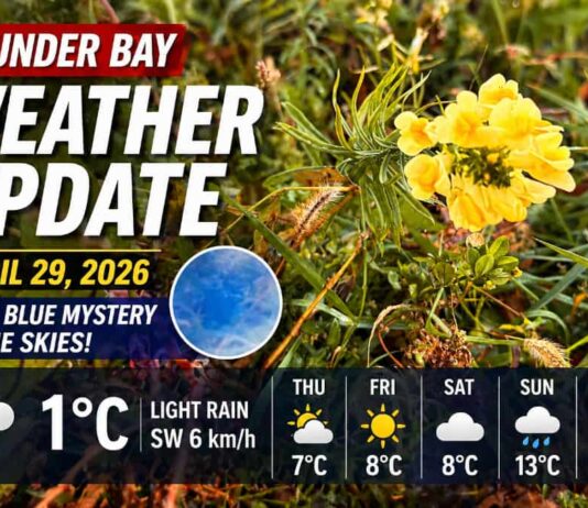 April 29, 2026: Thunder Bay Weather Forecast – Grey Skies, Chilly Air, and a Curious Sky Mystery Thunder Bay Weather for April 29 2026