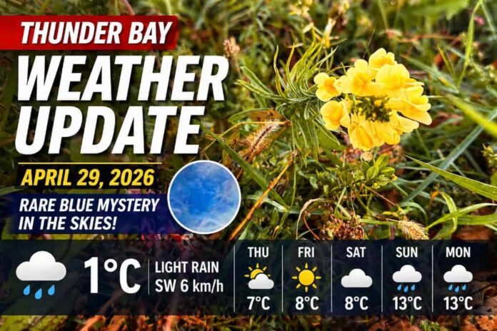 Thunder Bay Weather for April 29 2026