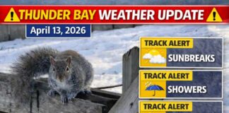 April 13, 2026: Thunder Bay Weather Forecast — Damp Start, Some Sunbreaks, Then Cooler Again Hiver à Thunder Bay _ Météo et écureuil