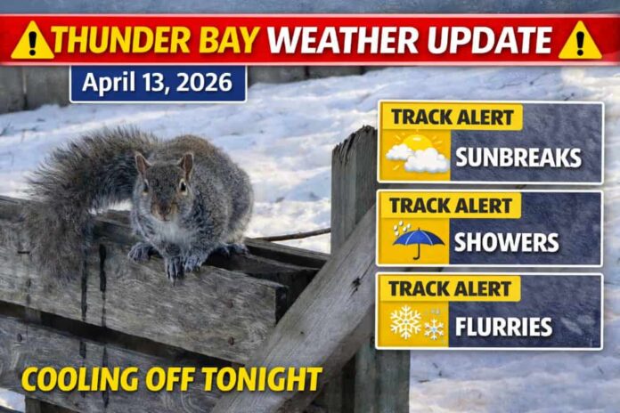 Hiver à Thunder Bay _ Météo et écureuil