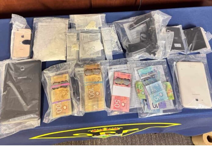 Schreiber OPP drug investigation leads to cocaine-related charges, cash seizure and bail hearing