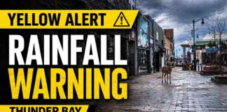 April 23, 2026: Thunder Bay Starts Blustery as Rainfall Warning Remains in Effect Thunder Bay Weather April 23 2026