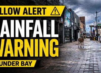 April 23, 2026: Thunder Bay Starts Blustery as Rainfall Warning Remains in Effect Thunder Bay Weather April 23 2026