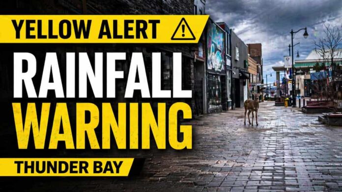 Thunder Bay Weather April 23 2026