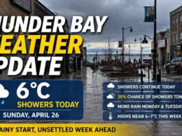 April 26, 2026: Thunder Bay Starts Wet and Foggy as Showers Move Through Thunder Bay Weather April 26 2026