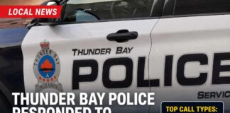 Thunder Bay police responded to 924 calls for service in the past seven days Thunder Bay police service call stats