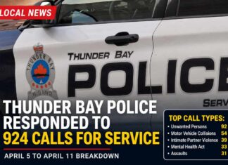 Thunder Bay police responded to 924 calls for service in the past seven days Thunder Bay police service call stats