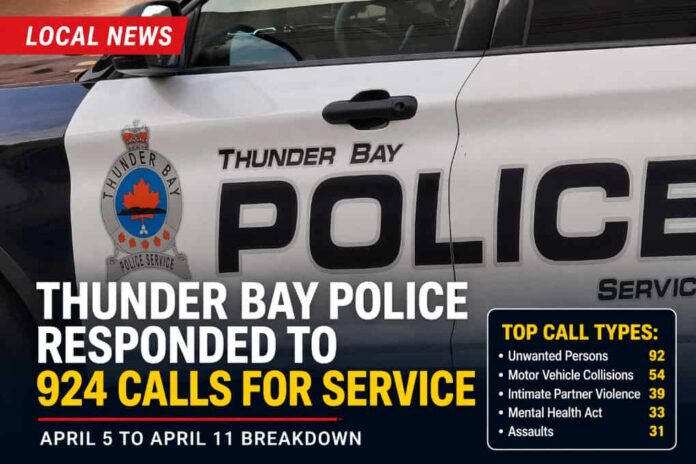 Thunder Bay police service call stats