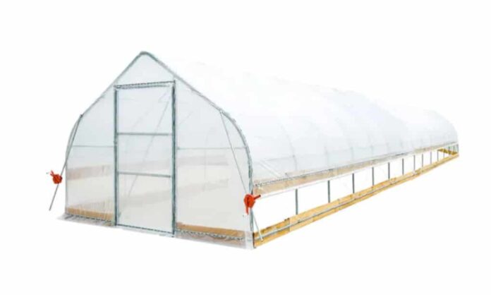 Tunnel Greenhouse