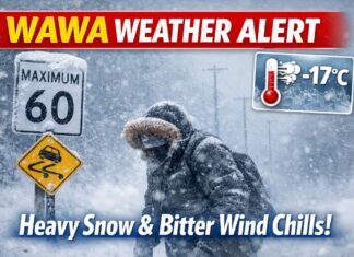 April 6, 2026: Wawa Weather Update — Heavy Flurries, Blowing Snow, and Bitter Wind Chills Wawa Weather alert April 6 2026