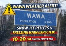 April 4, 2026: Wawa Weather Turns Rough as Snow, Ice Pellets, and a Snowfall Warning Grip the Region Wawa weather for April 4 to 6, 2026: a Yellow Snowfall Warning is in effect with 10 to 20 cm expected, along with ice pellets, freezing rain risk, difficult travel, and colder weather into Monday