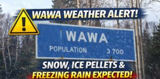 April 4, 2026: Wawa Weather Turns Rough as Snow, Ice Pellets, and a Snowfall Warning Grip the Region Wawa weather for April 4 to 6, 2026: a Yellow Snowfall Warning is in effect with 10 to 20 cm expected, along with ice pellets, freezing rain risk, difficult travel, and colder weather into Monday