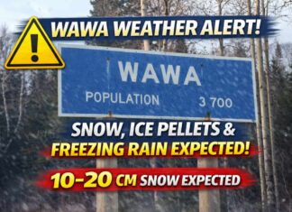 April 4, 2026: Wawa Weather Turns Rough as Snow, Ice Pellets, and a Snowfall Warning Grip the Region Wawa weather for April 4 to 6, 2026: a Yellow Snowfall Warning is in effect with 10 to 20 cm expected, along with ice pellets, freezing rain risk, difficult travel, and colder weather into Monday