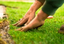 The Homeowner’s Guide to Saving on Landscaping 2026 Photo by FRAEM GmbH on Unsplash