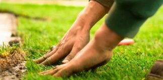 The Homeowner’s Guide to Saving on Landscaping 2026 Photo by FRAEM GmbH on Unsplash