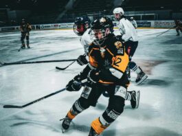 Why Sports Betting Sites Are Targeting Alberta Right Now In Alberta, the gambling market got serious on January 14, 2026, when the province published its iGaming strategy and made the direction unmistakable