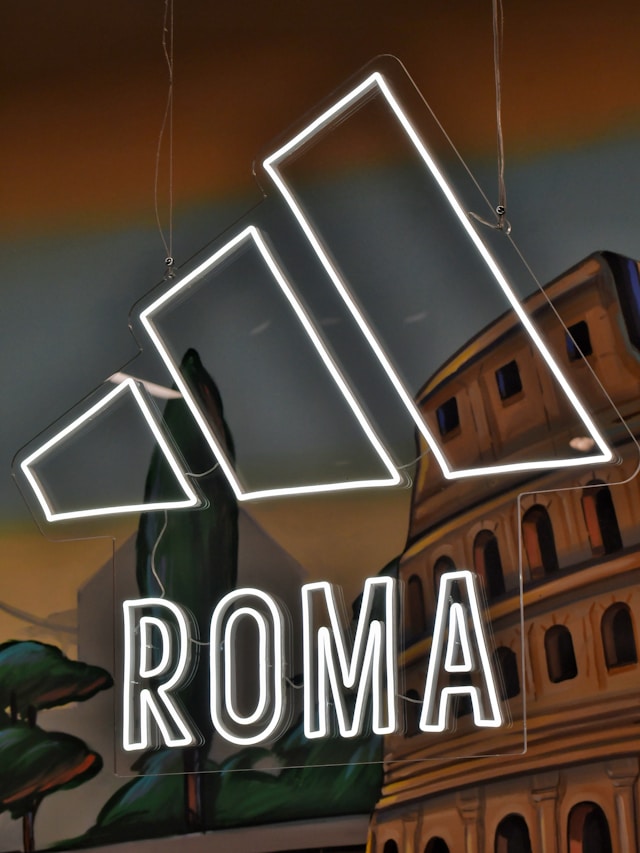 Academic Requirements within the IDA Rome Technical Project