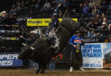 Jeremy Maisonneuve wins first PBR Canada Cup Series title in Brandon, climbing to No. 2 nationally Championship Saturday Photos (Courtesy Covy Moore)