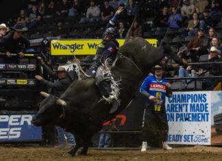 Jeremy Maisonneuve wins first PBR Canada Cup Series title in Brandon, climbing to No. 2 nationally Championship Saturday Photos (Courtesy Covy Moore)