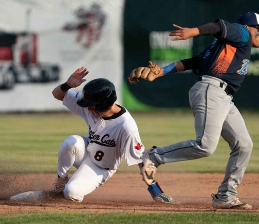 Thunder Bay Border Cats Thrill Fans with Huge Home Opener Win Border Cats Dylan Snead Stealing Second Base in Cat's Home Opener