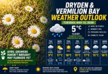 Dryden and Vermilion Bay Weather – May 12, 2026: Damp Today, Warmer Sunshine Ahead Dryden and Vermilion Bay Weather May 12 2026