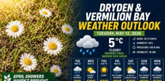 Dryden and Vermilion Bay Weather – May 12, 2026: Damp Today, Warmer Sunshine Ahead Dryden and Vermilion Bay Weather May 12 2026