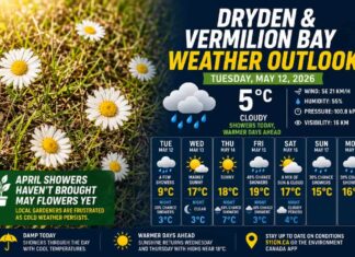 Dryden and Vermilion Bay Weather – May 12, 2026: Damp Today, Warmer Sunshine Ahead Dryden and Vermilion Bay Weather May 12 2026