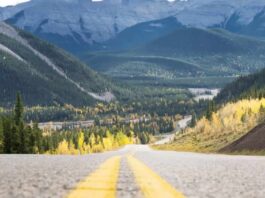 Alberta – Expanding capacity for death investigations Highway into Kananaskis Valley Alberta