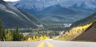 Alberta – Expanding capacity for death investigations Highway into Kananaskis Valley Alberta