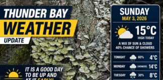 May 3, 2026: Thunder Bay Weather – A Good Morning to Get Moving Early Thunder Bay weather for May 3, 2026: Partly cloudy early, high 15°C, gusty west winds, and a chance of showers today and tonight