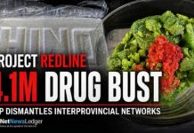 OPP seize $4.1M in fentanyl, cocaine and counterfeit tablets in Project REDLINE OPP list 13 accused in Project REDLINE drug-trafficking investigation