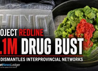 OPP seize $4.1M in fentanyl, cocaine and counterfeit tablets in Project REDLINE OPP list 13 accused in Project REDLINE drug-trafficking investigation