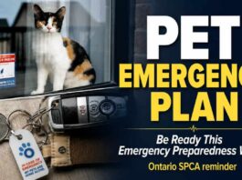 Ontario SPCA Reminds Pet Owners to Include Household Pets in Emergency Plans SPCA Pet Emergency Plan