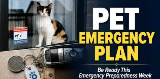 Ontario SPCA Reminds Pet Owners to Include Household Pets in Emergency Plans SPCA Pet Emergency Plan
