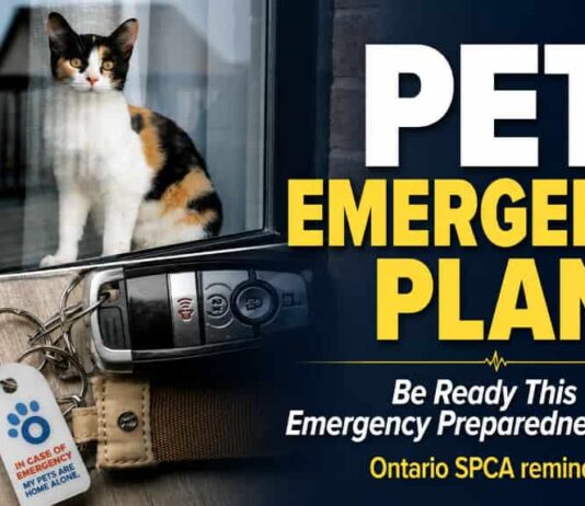 Ontario SPCA Reminds Pet Owners to Include Household Pets in Emergency Plans SPCA Pet Emergency Plan