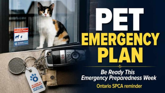 SPCA Pet Emergency Plan
