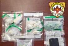 Two arrested after fentanyl and cocaine seized in Ginoogaming First Nation Two males have been arrested and are facing charges after a warrant was executed at a resident in Ginoogaming First Nation