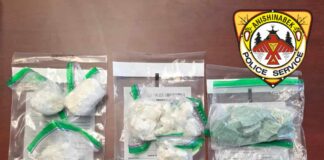 Two arrested after fentanyl and cocaine seized in Ginoogaming First Nation Two males have been arrested and are facing charges after a warrant was executed at a resident in Ginoogaming First Nation