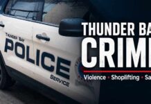Thunder Bay Crime Analysis: Property Crime, Violence, Economic Impact and Public Safety Thunder Bay Crime in 2024: Property Crime, Violence and the Cost to a City’s Reputation