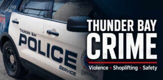 Thunder Bay Crime Analysis: Property Crime, Violence, Economic Impact and Public Safety Thunder Bay Crime in 2024: Property Crime, Violence and the Cost to a City’s Reputation