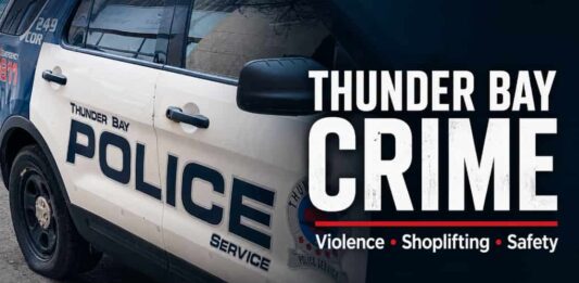 Thunder Bay Crime Analysis: Property Crime, Violence, Economic Impact and Public Safety Thunder Bay Crime in 2024: Property Crime, Violence and the Cost to a City’s Reputation