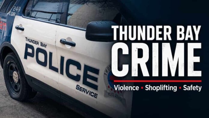 Thunder Bay Crime in 2024: Property Crime, Violence and the Cost to a City’s Reputation