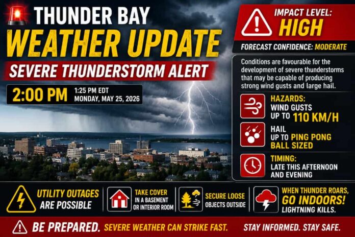 Thunder Bay Weather Advisory Thunderstorms