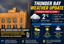 Thunder Bay Weather Update – May 12, 2026: Rain, Cold, and Frustrated Gardeners Thunder Bay Weather May 12 2026