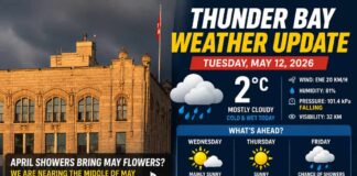Thunder Bay Weather Update – May 12, 2026: Rain, Cold, and Frustrated Gardeners Thunder Bay Weather May 12 2026