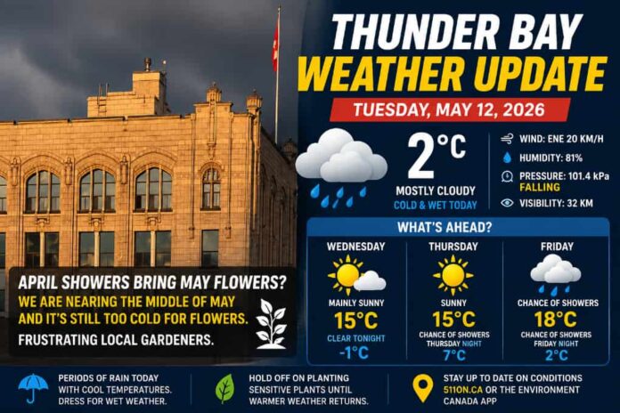Thunder Bay Weather May 12 2026